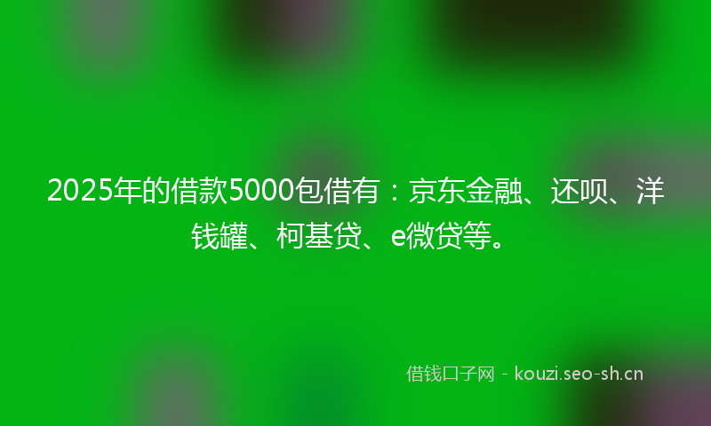 2025年的借款5000包借有:京东金融、还呗、洋钱罐、柯基贷、e微贷等。