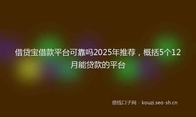 借贷宝借款平台可靠吗2025年推荐,概括5个12月能贷款的平台