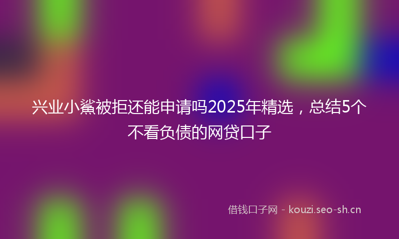 兴业小鯊被拒还能申请吗2025年精选，总结5个不看负债的网贷口子