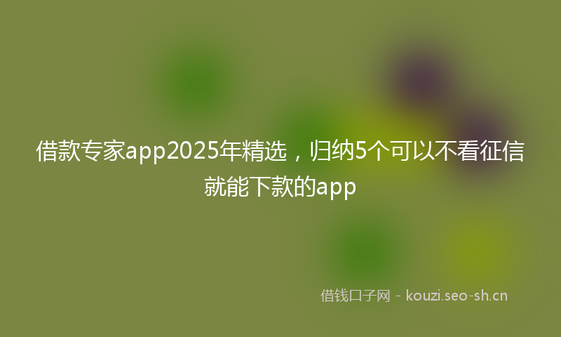 借款专家app2025年精选，归纳5个可以不看征信就能下款的app