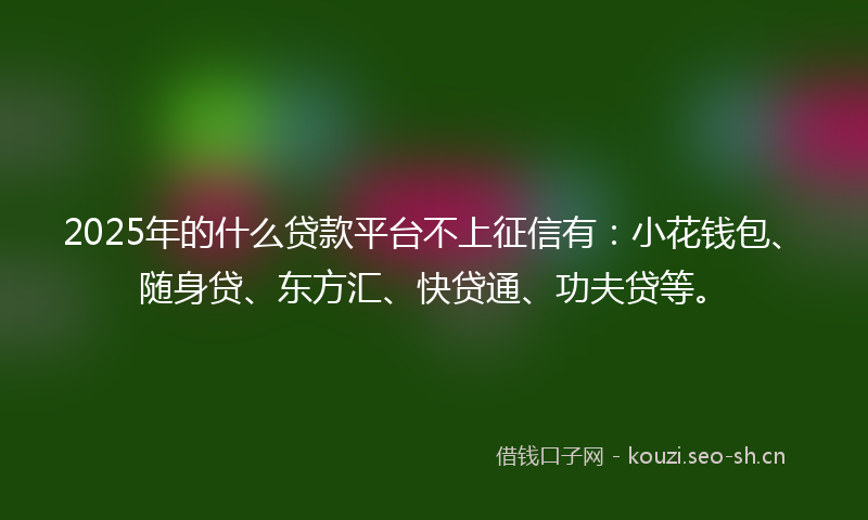 2025年的什么贷款平台不上征信有:小花钱包、随身贷、东方汇、快贷通、功夫贷等。