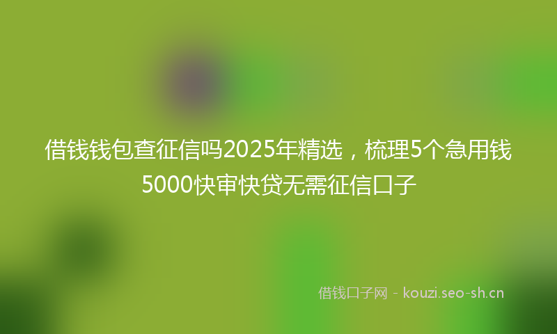 借钱钱包查征信吗2025年精选,梳理5个急用钱5000快审快贷无需征信口子