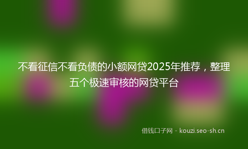 不看征信不看负债的小额网贷2025年推荐，整理五个极速审核的网贷平台