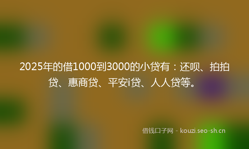 2025年的借1000到3000的小贷有：还呗、拍拍贷、惠商贷、平安i贷、人人贷等。