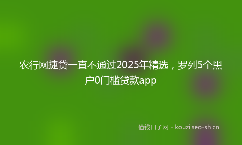 农行网捷贷一直不通过2025年精选，罗列5个黑户0门槛贷款app