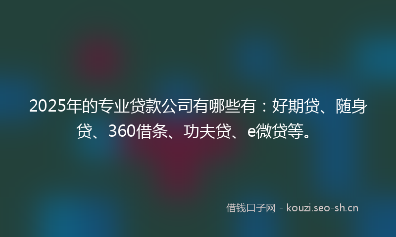 2025年的专业贷款公司有哪些有：好期贷、随身贷、360借条、功夫贷、e微贷等。