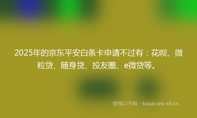 2025年的京东平安白条卡申请不过有：花呗、微粒贷、随身贷、投友圈、e微贷等。