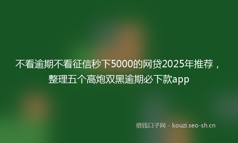 不看逾期不看征信秒下5000的网贷2025年推荐,整理五个高炮双黑逾期必下款app