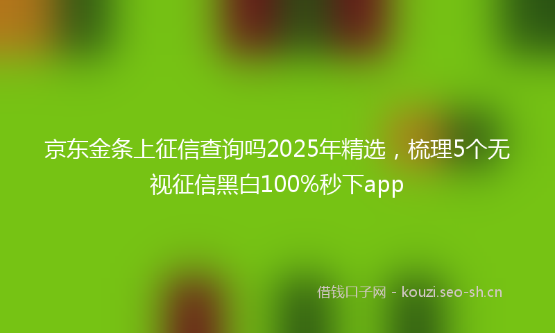 京东金条上征信查询吗2025年精选，梳理5个无视征信黑白100%秒下app
