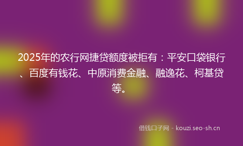 2025年的农行网捷贷额度被拒有：平安口袋银行、百度有钱花、中原消费金融、融逸花、柯基贷等。