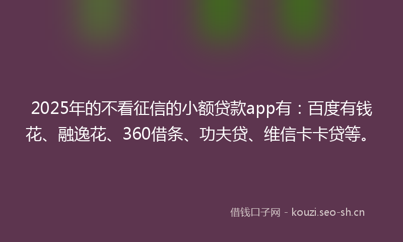 2025年的不看征信的小额贷款app有：百度有钱花、融逸花、360借条、功夫贷、维信卡卡贷等。