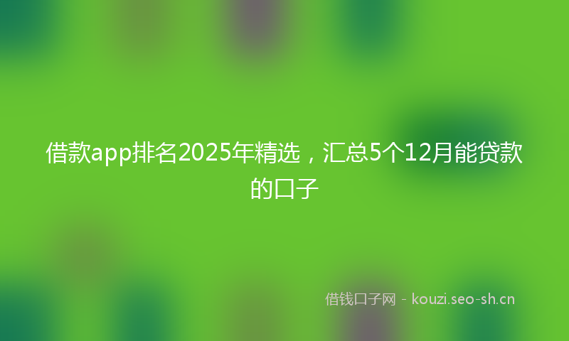 借款app排名2025年精选，汇总5个12月能贷款的口子