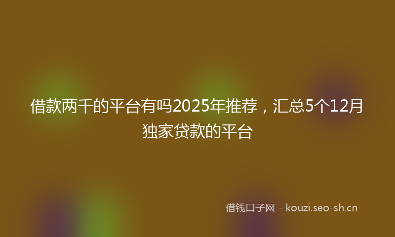 借款两千的平台有吗2025年推荐，汇总5个12月独家贷款的平台