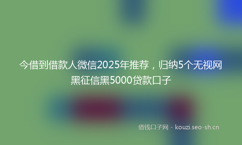 今借到借款人微信2025年推荐，归纳5个无视网黑征信黑5000贷款口子