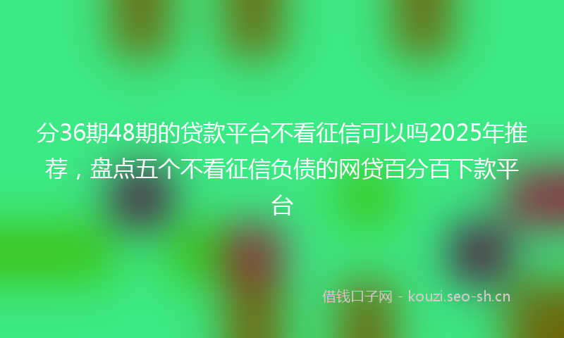 分36期48期的贷款平台不看征信可以吗2025年推荐,盘点五个不看征信负债的网贷百分百下款平台