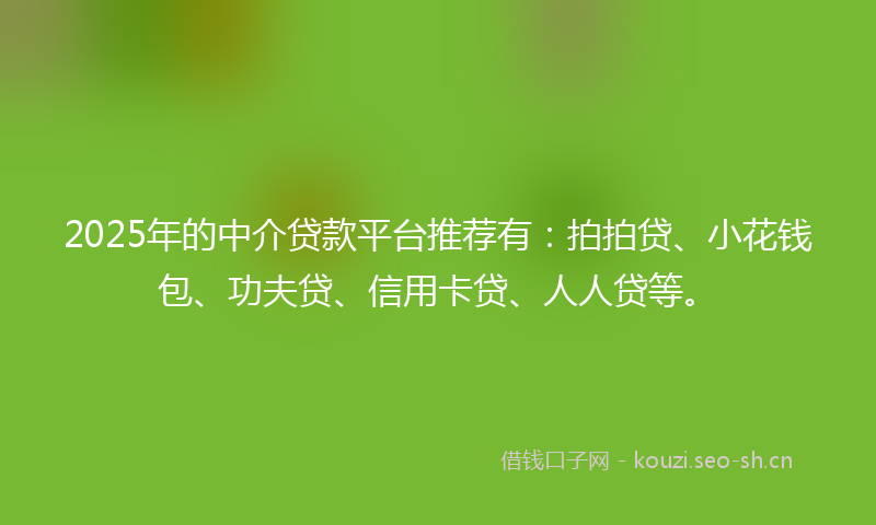 2025年的中介贷款平台推荐有：拍拍贷、小花钱包、功夫贷、信用卡贷、人人贷等。