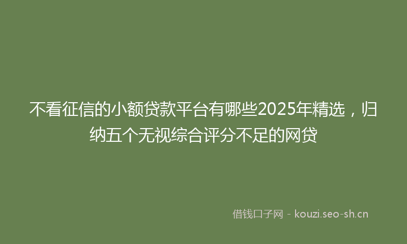 不看征信的小额贷款平台有哪些2025年精选，归纳五个无视综合评分不足的网贷