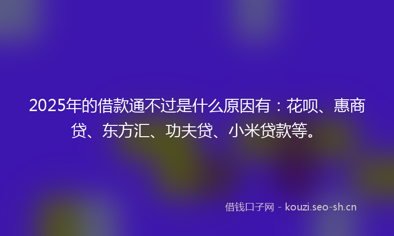 2025年的借款通不过是什么原因有：花呗、惠商贷、东方汇、功夫贷、小米贷款等。
