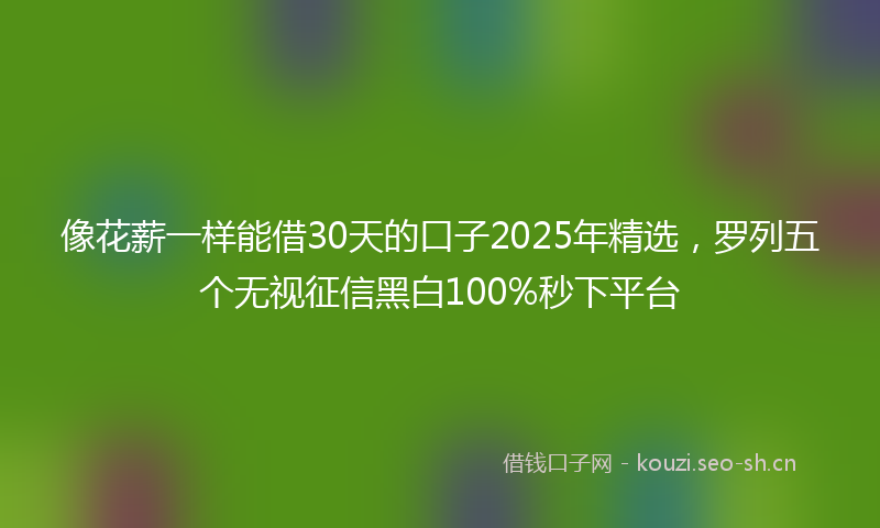 像花薪一样能借30天的口子2025年精选,罗列五个无视征信黑白100%秒下平台
