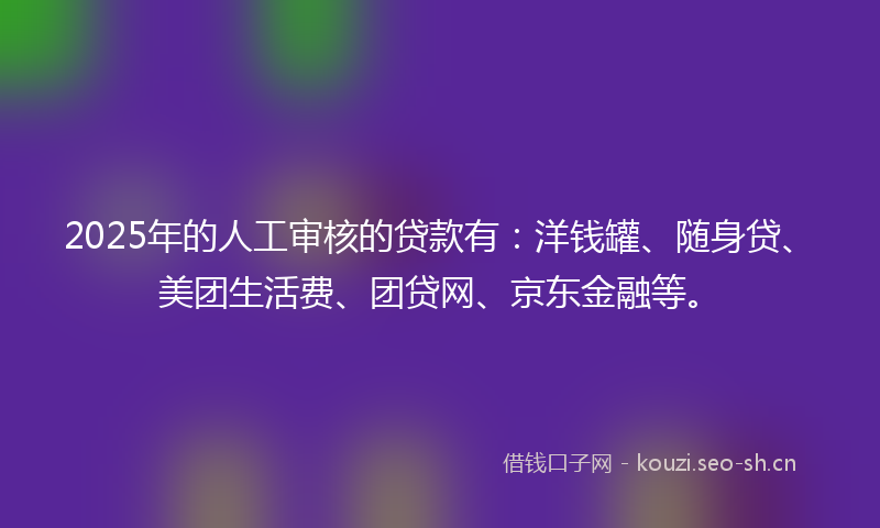 2025年的人工审核的贷款有:洋钱罐、随身贷、美团生活费、团贷网、京东金融等。