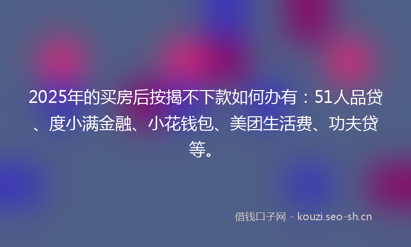2025年的买房后按揭不下款如何办有：51人品贷、度小满金融、小花钱包、美团生活费、功夫贷等。