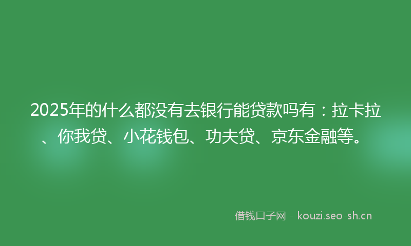 2025年的什么都没有去银行能贷款吗有：拉卡拉、你我贷、小花钱包、功夫贷、京东金融等。