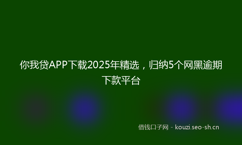 你我贷APP下载2025年精选，归纳5个网黑逾期下款平台