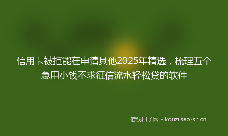 信用卡被拒能在申请其他2025年精选,梳理五个急用小钱不求征信流水轻松贷的软件
