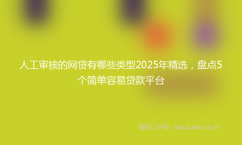 人工审核的网贷有哪些类型2025年精选，盘点5个简单容易贷款平台
