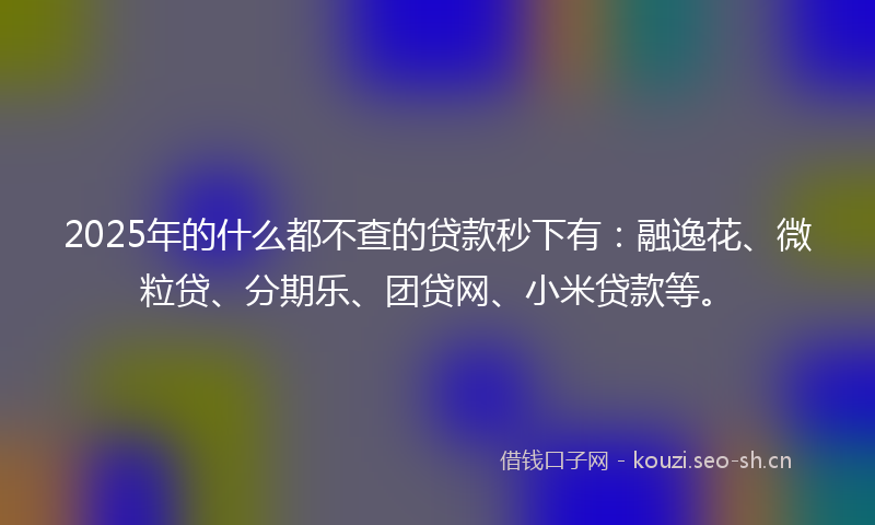 2025年的什么都不查的贷款秒下有：融逸花、微粒贷、分期乐、团贷网、小米贷款等。