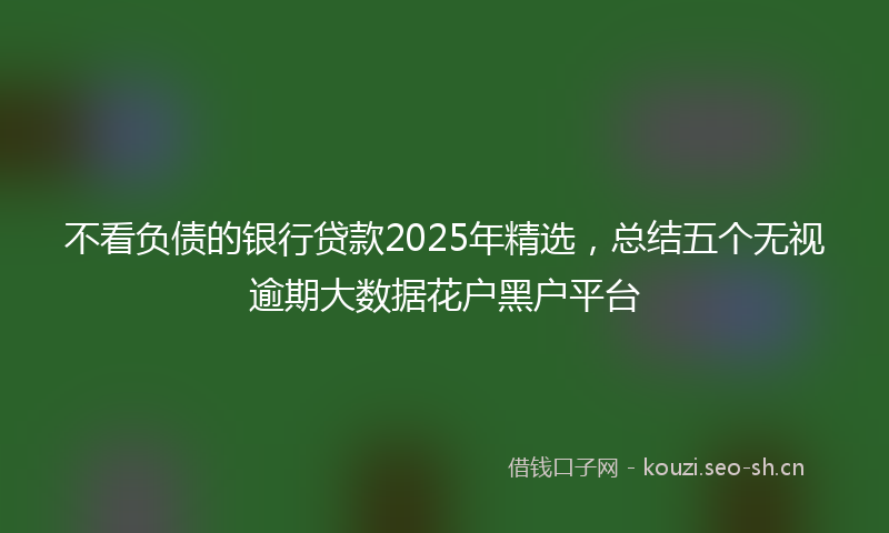 不看负债的银行贷款2025年精选，总结五个无视逾期大数据花户黑户平台
