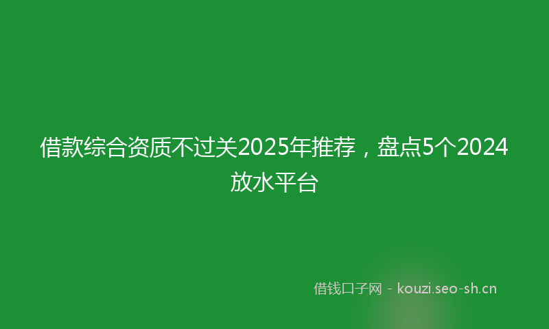借款综合资质不过关2025年推荐，盘点5个2024放水平台