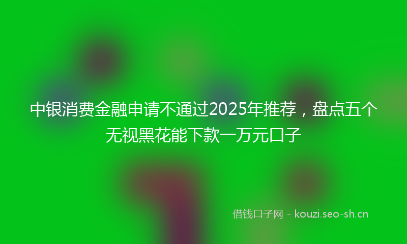 中银消费金融申请不通过2025年推荐，盘点五个无视黑花能下款一万元口子