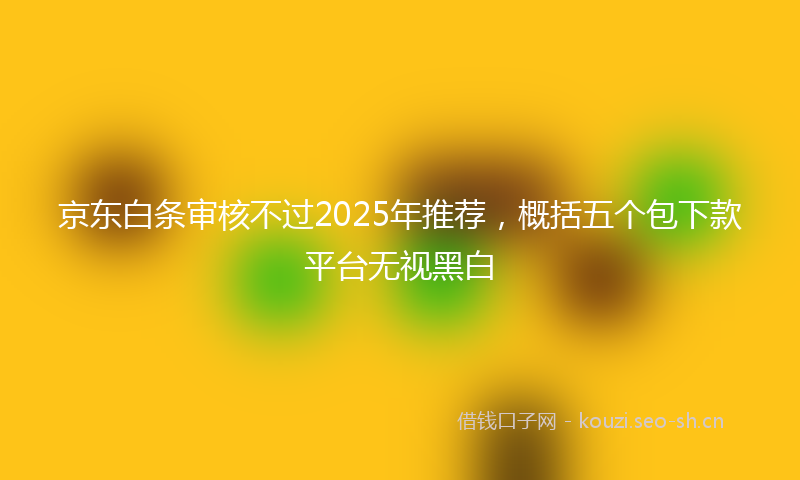 京东白条审核不过2025年推荐，概括五个包下款平台无视黑白