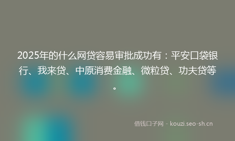 2025年的什么网贷容易审批成功有：平安口袋银行、我来贷、中原消费金融、微粒贷、功夫贷等。