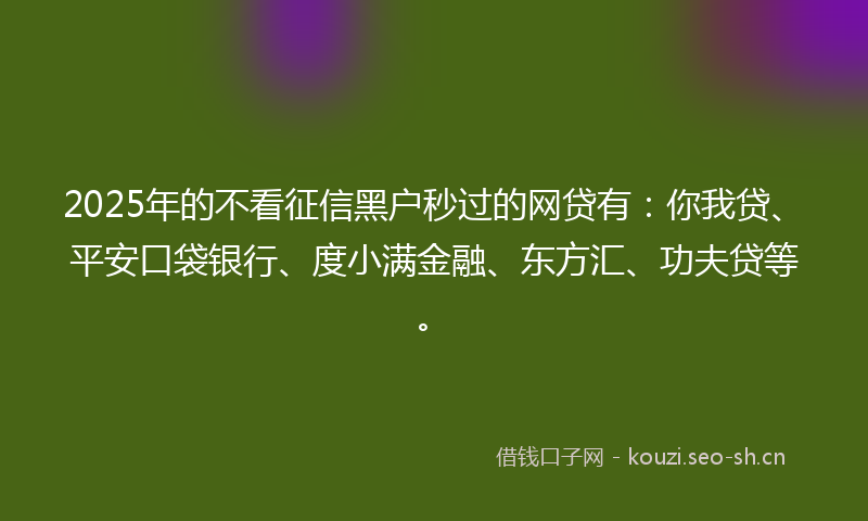2025年的不看征信黑户秒过的网贷有：你我贷、平安口袋银行、度小满金融、东方汇、功夫贷等。