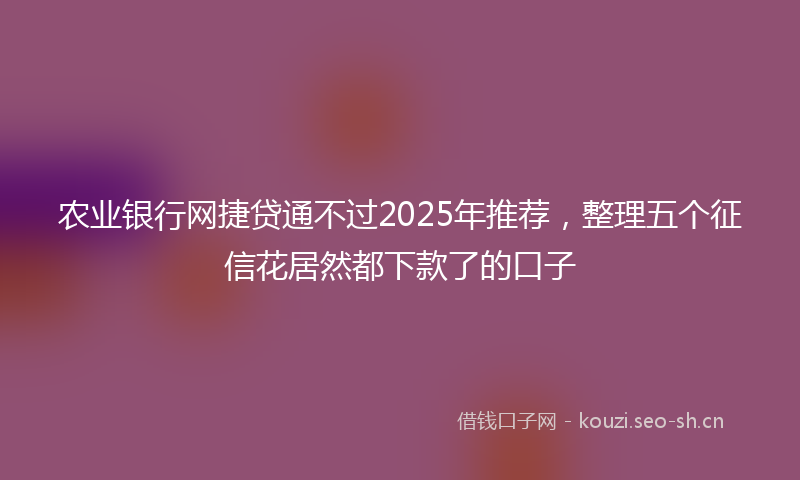 农业银行网捷贷通不过2025年推荐,整理五个征信花居然都下款了的口子