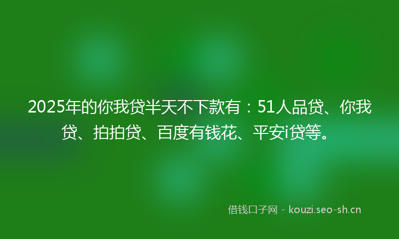 2025年的你我贷半天不下款有：51人品贷、你我贷、拍拍贷、百度有钱花、平安i贷等。