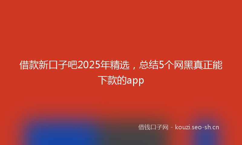 借款新口子吧2025年精选,总结5个网黑真正能下款的app