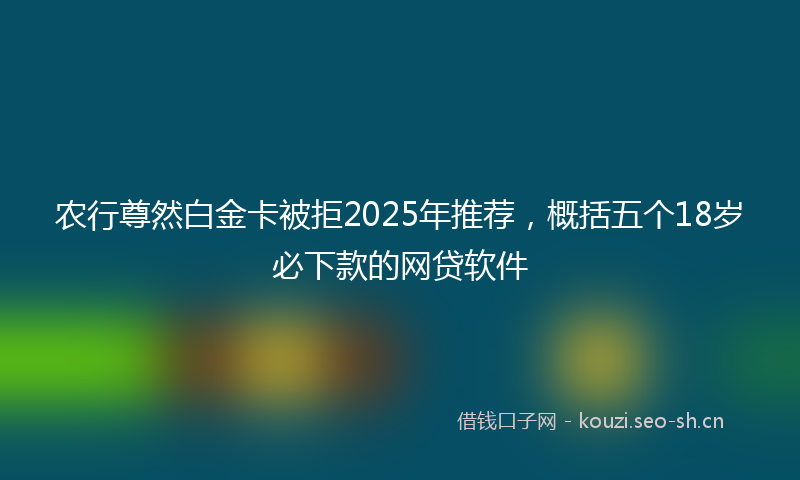 农行尊然白金卡被拒2025年推荐，概括五个18岁必下款的网贷软件