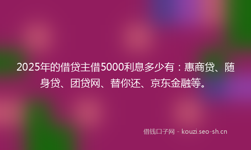 2025年的借贷主借5000利息多少有:惠商贷、随身贷、团贷网、替你还、京东金融等。