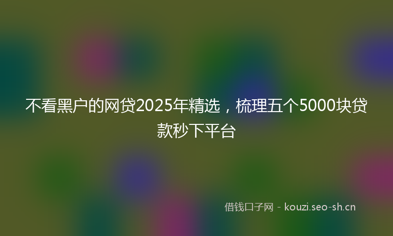 不看黑户的网贷2025年精选,梳理五个5000块贷款秒下平台