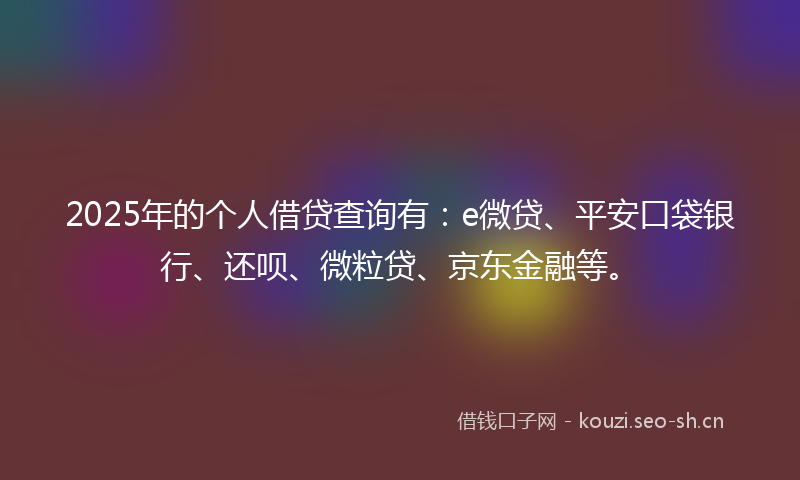 2025年的个人借贷查询有：e微贷、平安口袋银行、还呗、微粒贷、京东金融等。