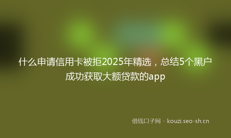 什么申请信用卡被拒2025年精选，总结5个黑户成功获取大额贷款的app