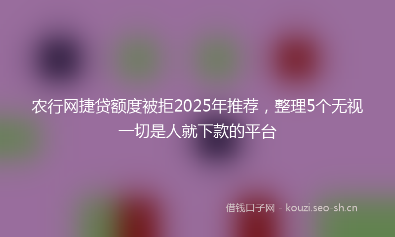 农行网捷贷额度被拒2025年推荐，整理5个无视一切是人就下款的平台
