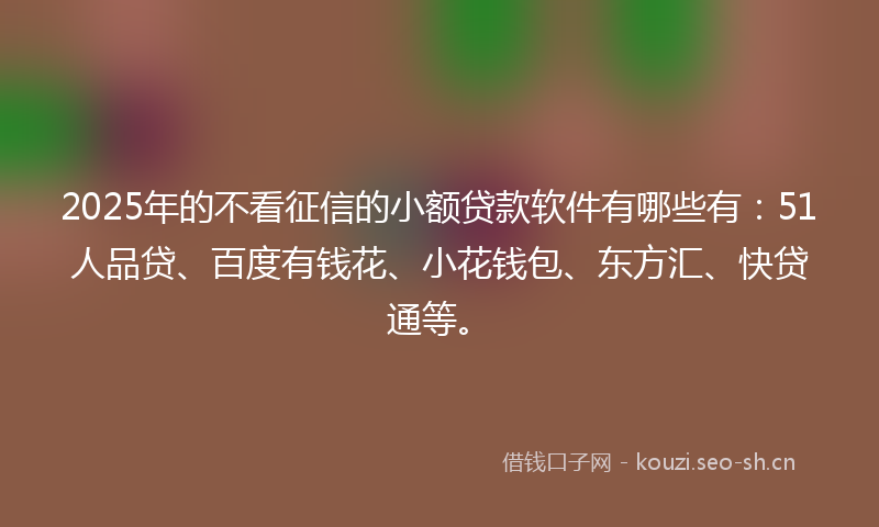 2025年的不看征信的小额贷款软件有哪些有：51人品贷、百度有钱花、小花钱包、东方汇、快贷通等。