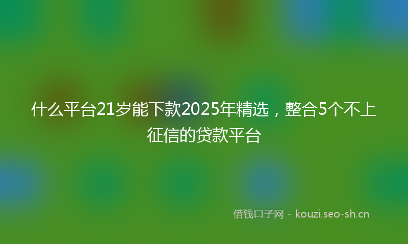 什么平台21岁能下款2025年精选，整合5个不上征信的贷款平台