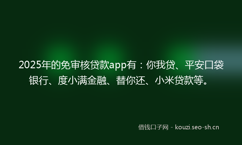 2025年的免审核贷款app有:你我贷、平安口袋银行、度小满金融、替你还、小米贷款等。