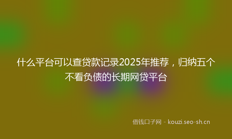 什么平台可以查贷款记录2025年推荐，归纳五个不看负债的长期网贷平台