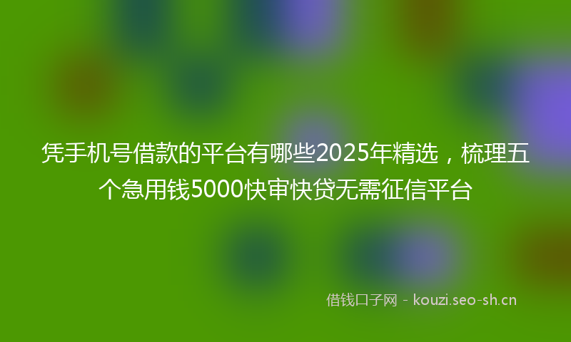 凭手机号借款的平台有哪些2025年精选,梳理五个急用钱5000快审快贷无需征信平台